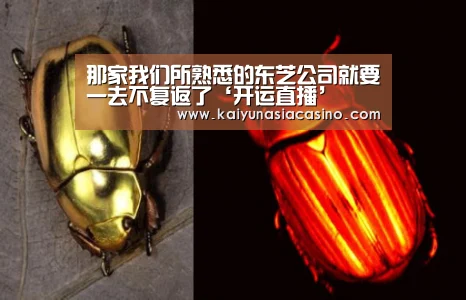 开运竞猜