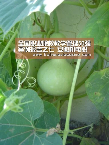 开运娱乐